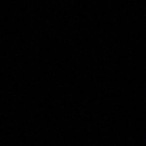 Meet your Posher, Bailey